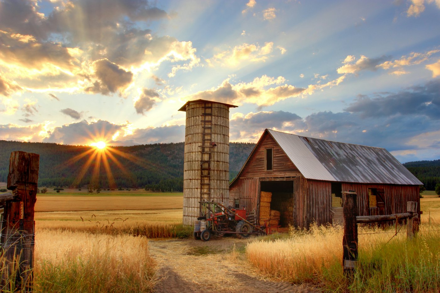 Rural Networks industry