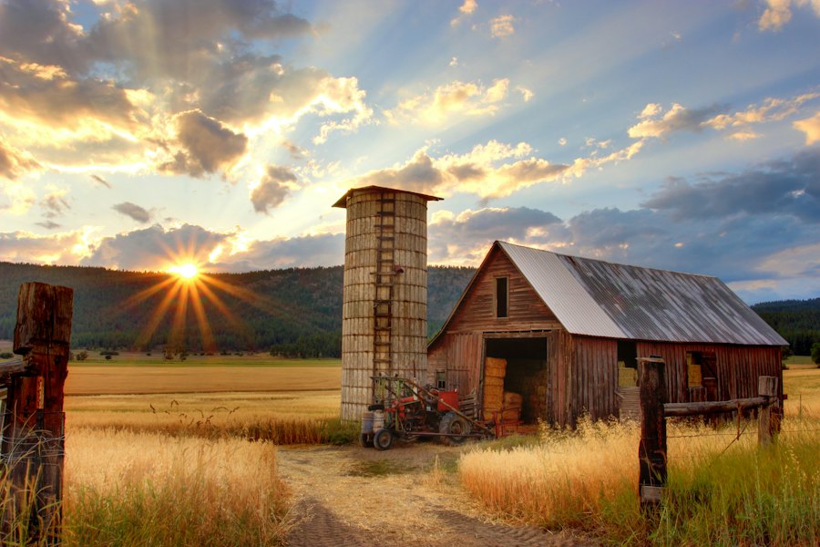 Rural Commerce And Financial Inclusion