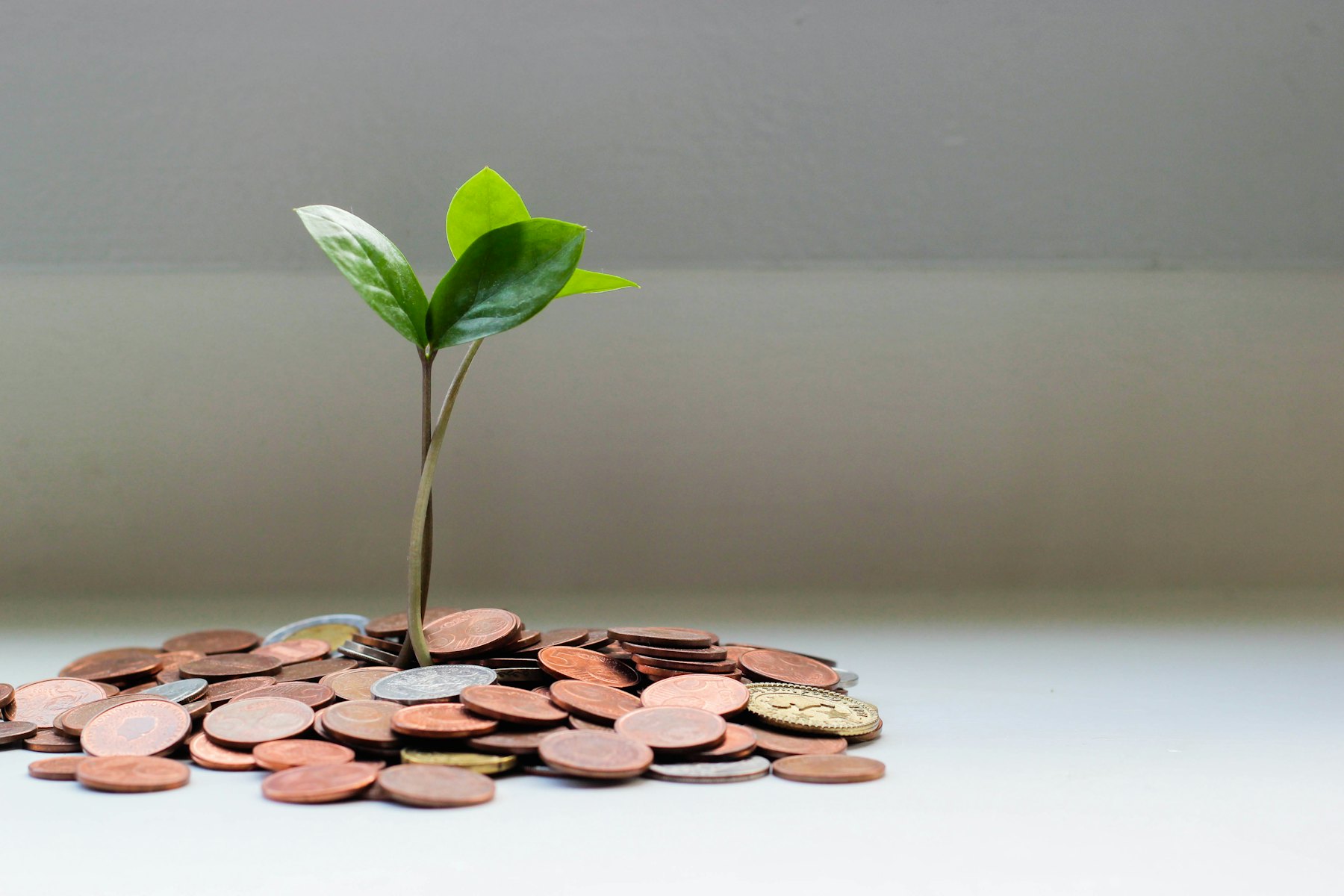 PTC Vs Direct Assignment: How Indian Lenders Choose